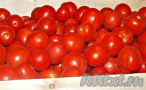 Conservarea tomatelor într-un mod rece - pregătim pas cu pas din fotografie