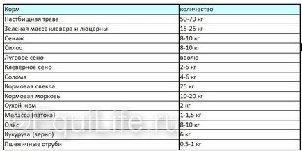 Etetés a lovak alapelveinek gyakorlati előkészítése adagokat, az első lovas magazin online