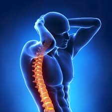 Mușchii abdominali puternici - coloana vertebrală stabilă și spatele puternic