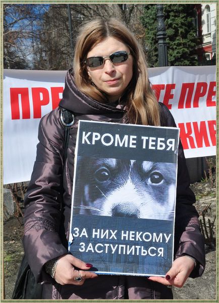 În cazul în care pentru a lua catelul de pe stradă Voronezh adăposturi pentru animale fără adăpost, camera voronezh