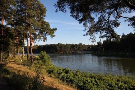 Hová menjünk piknikezni a külvárosban 8 legjobb helyeket, VAO Moszkva