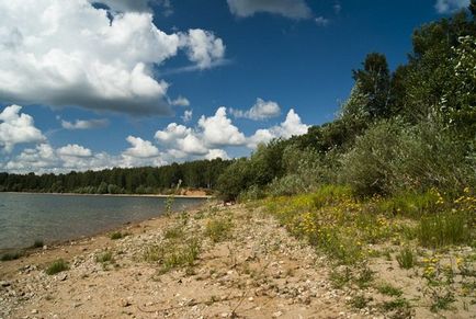 Hová menjünk piknikezni a külvárosban 8 legjobb helyeket, VAO Moszkva