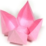 Lotus schema de origami pas cu pas de instruire