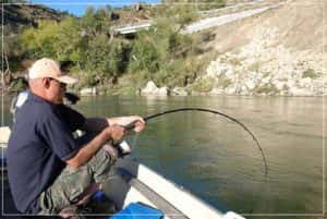 Ловля сома на донку - секрети успішної риболовлі