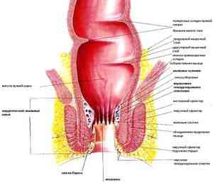 Radioterapia