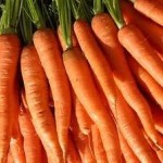 Cele mai bune soiuri de morcovi cu fotografii și descrieri, îmi place grădina mea