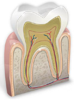 Методи остеопрактікі в стоматології