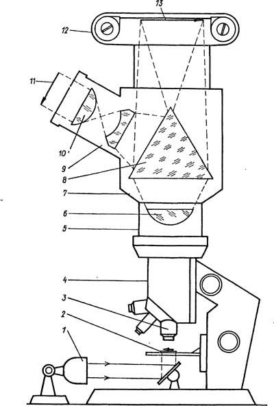 Microphotografia - chimie pentru fotograf - secrete de fotografie