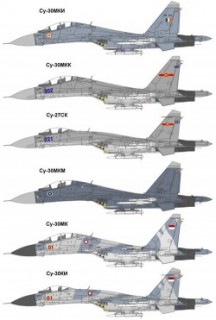 Multi-scop luptator Su-30mk