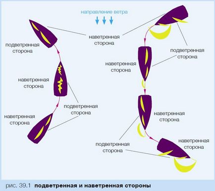 Морська практика для новачків