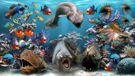 Морські тварини назви і види