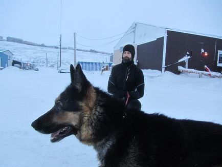 Чоловік переконується, що приютские собаки виходять на прогулянки навіть взимку, ВМЖ