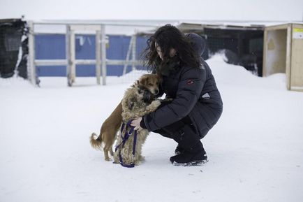 Omul este convins că câinii de adăpost se duc la plimbări, chiar și în timpul iernii,