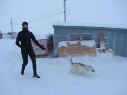 Omul este convins că câinii de adăpost se duc la plimbări, chiar și în timpul iernii,