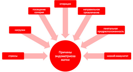 На який день циклу робити узі на ендометріоз