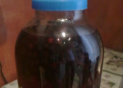 Tinctura de cenușă chokeberry pe prepararea alcoolică a tincturii de castron
