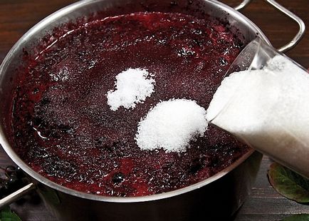 Tinctura de cenușă chokeberry pe prepararea alcoolică a tincturii de castron