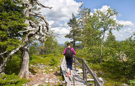 Găsiți lecții fascinante în rozete - vizitați rovaniemi