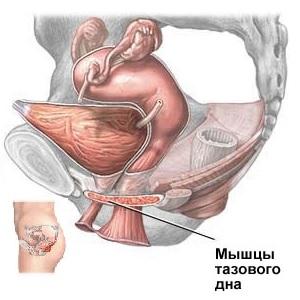Incontinența urinară după naștere, cât de mult acum cum să faceți