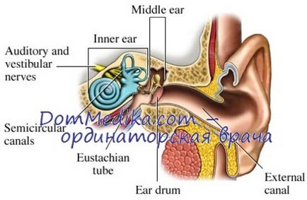 Nystagmus stroke, szubarachnoidális vérzés, és kóma (kóma, amikor nisztagmus) Nystagmus stroke, subarachnoidealis vérzés és kóma