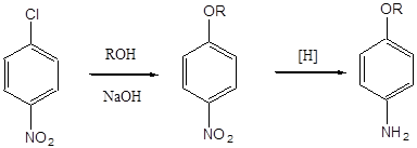 Nitrarea clorbenzenului
