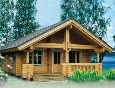 Одноповерхові дерев'яні будинки