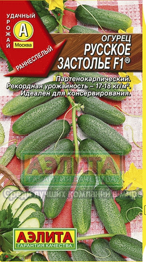Огірок російське застілля f1 купити насіння огірків оптом оптом і в роздріб від виробника