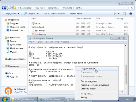 Openvpn - windows openvpn client