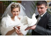 Організація весіль і торжеств будь-якого рівня і масштабу - голуби на весілля