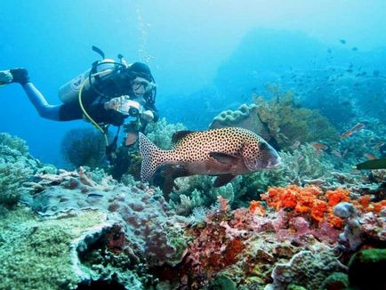 Sziget Nusa Penida és Nusa Lembongan