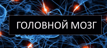 Отруєння головного мозку наркотиками алкоголем і курінням