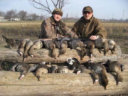 Полювання на гусака і качку з опудалами і манком як розставляти опудала качок і гусей на полюванні на качку і