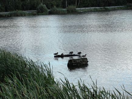 Lacul cu bile - drumul nostru