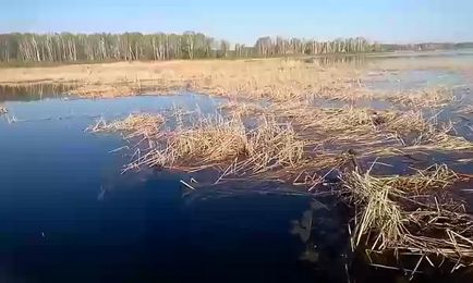 Lacul marelui lac Kremenkul din regiunea Chelyabinsk