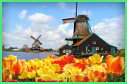 Tolmácsok holland, lefordították holland