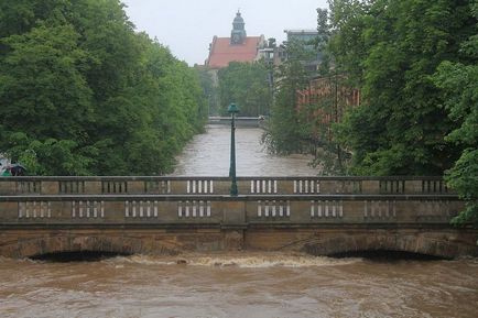 Плата за втрату хто і як виплачує компенсації постраждалим від стихійних лих