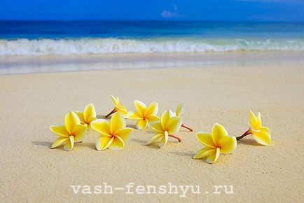 Plumeria este o floare din 