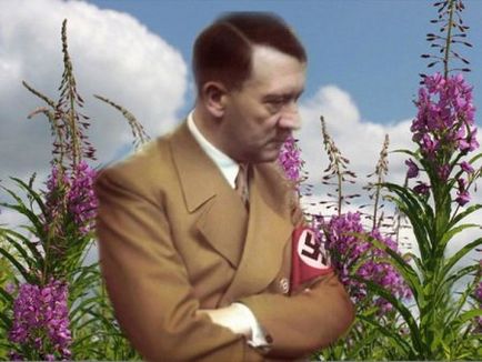 Miért Hitler elpusztította a füzike malom és miért van erre szükség, Badmaeva történelem (Hitler) Miért Hitler elpusztította a füzike malom és miért van erre szükség, a történelem Badmaeva
