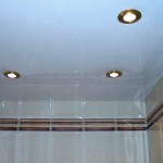 Plafonul de iluminat în tipurile de baie și caracteristici