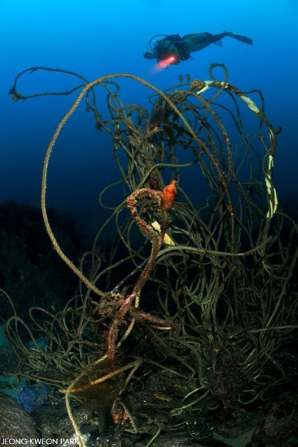 Portalul subacvatic al celor patru ca un fotomodel subacvatic