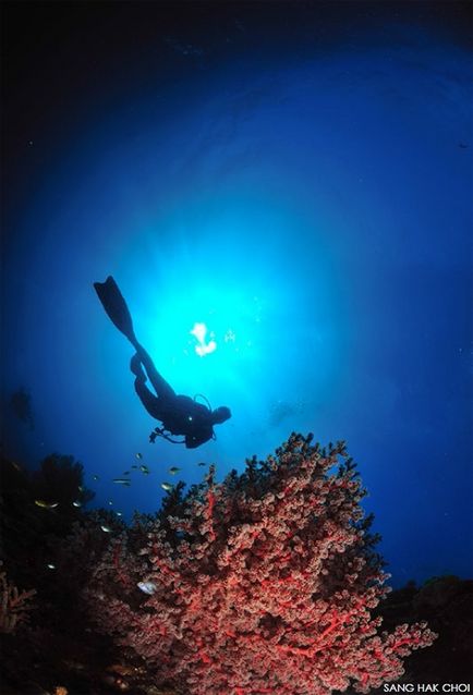 Portalul subacvatic al celor patru ca un fotomodel subacvatic