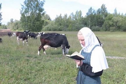 Послух понад посту і молитви відповіді пастирів, православне життя