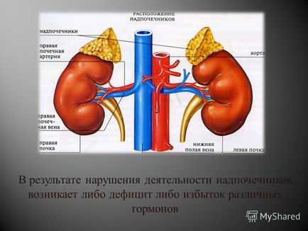 Презентація на тему наднирники