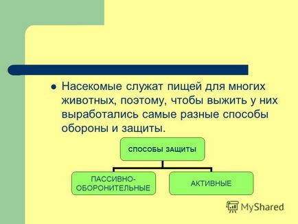 Презентація на тему способи захисту комах в природі