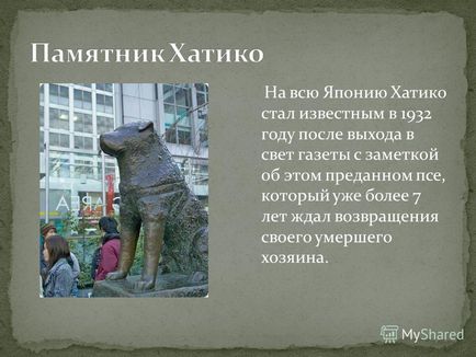 Prezentare pe tema din Rusia, cel mai faimos monument al câinelui este în parc