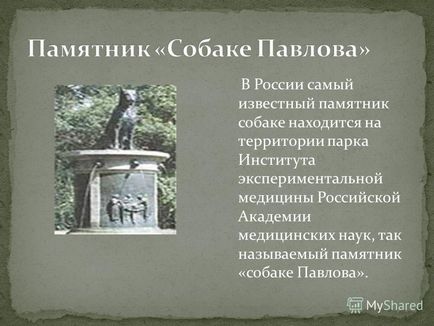 Презентація на тему в россии найвідоміший пам'ятник собаці знаходиться на території парку