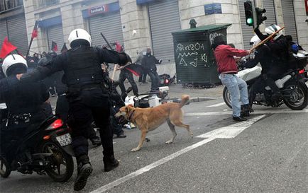 Protestarea câinilor de câine din Grecia
