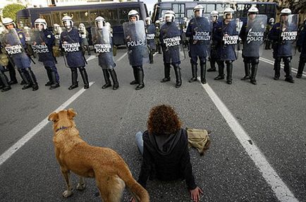 Протестуючий грецький пес сосиска