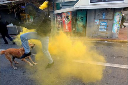 Protestarea câinilor de câine din Grecia