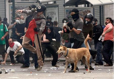 Protestarea câinilor de câine din Grecia